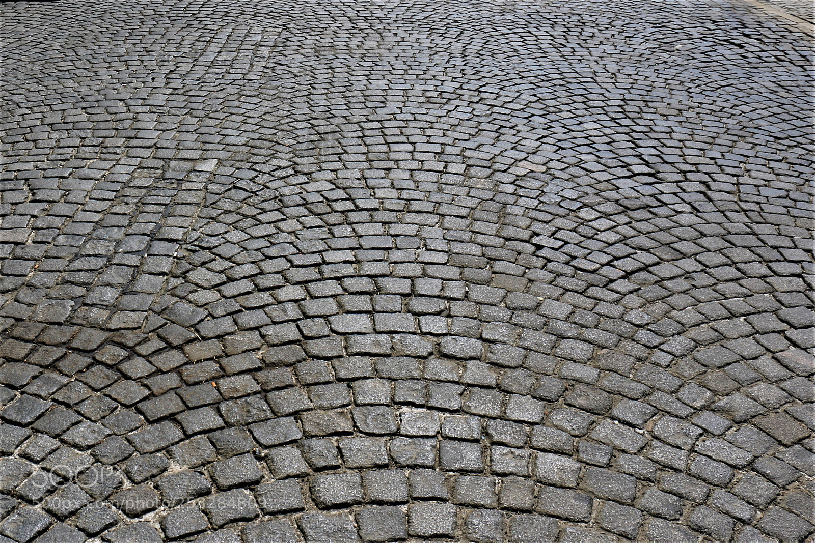 Canon EOS 70D sample photo. Prague catwalk photography