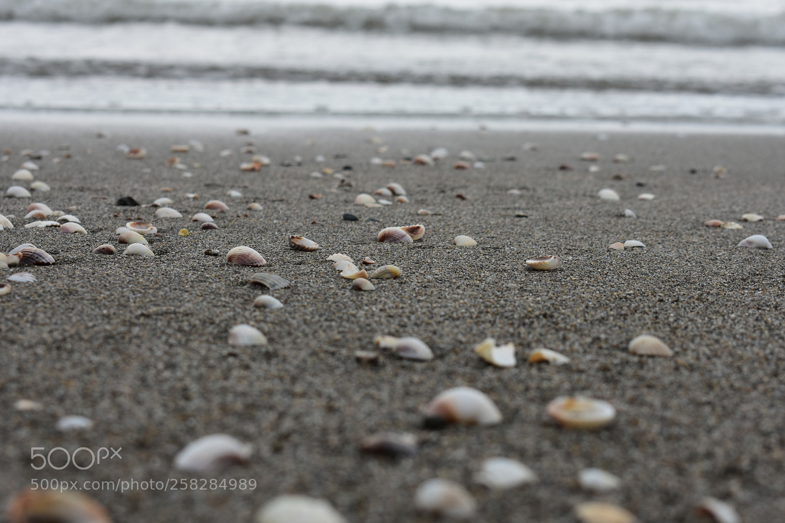 Nikon D3400 sample photo. Untitled photography