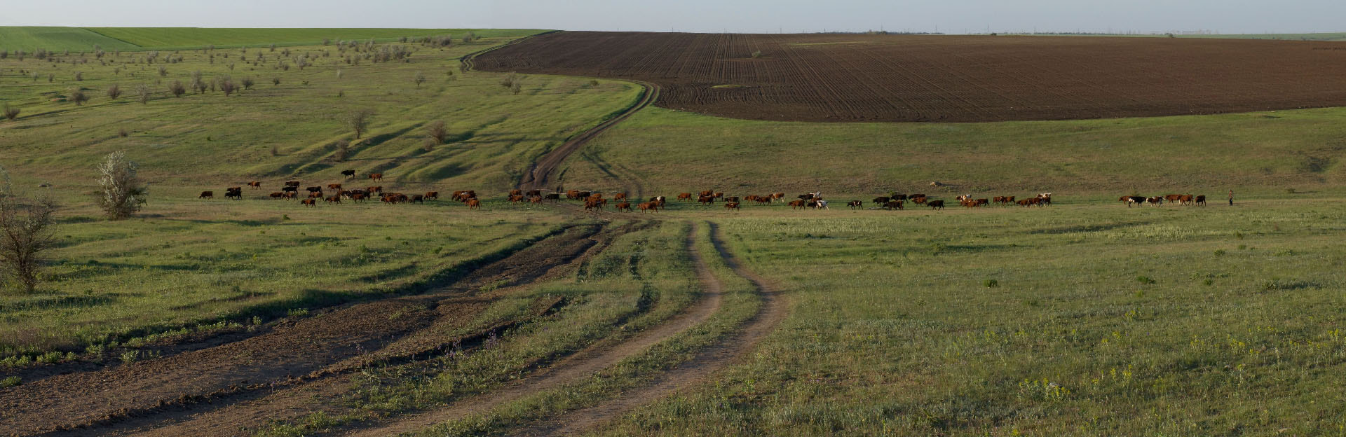 Sony Alpha NEX-F3 sample photo. Дорога додому. Путівець в Новогригорівку photography