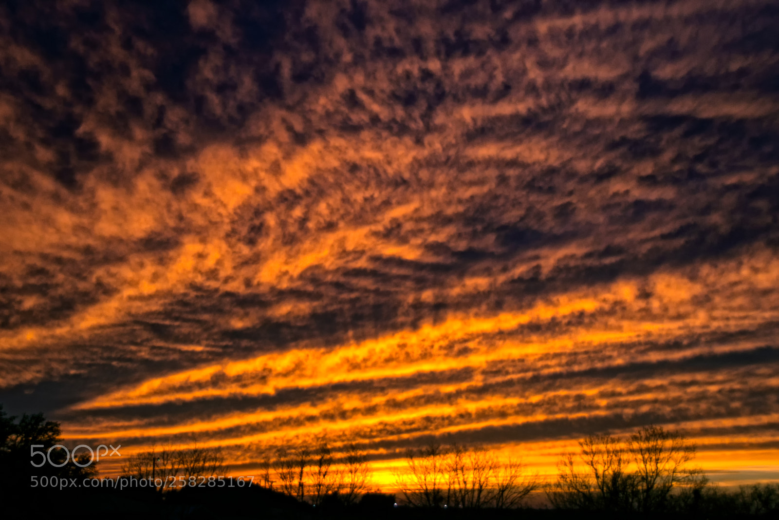 Nikon D800 sample photo. Big orange sky sunset photography