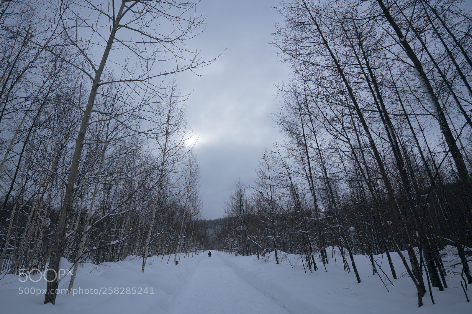 Sony a7R II sample photo. Biei, hokkaido photography
