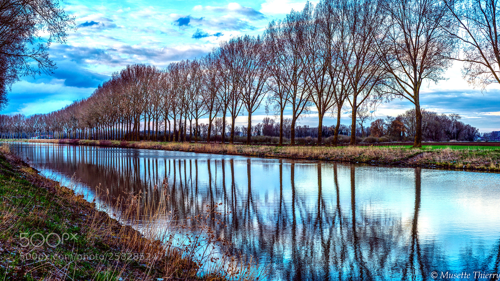 Nikon D600 sample photo. L’escaut photography