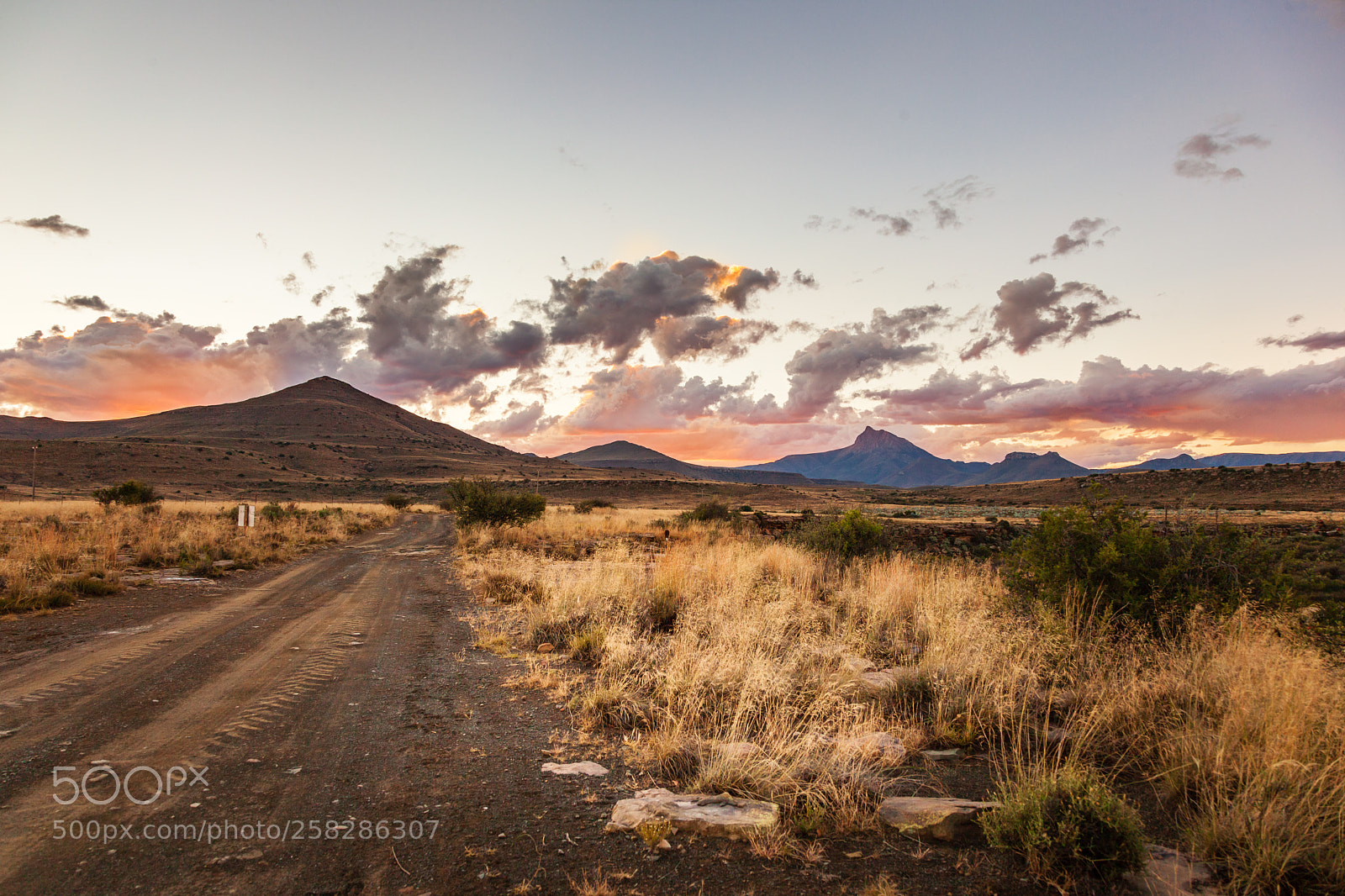 Canon EOS 5D Mark II sample photo. Karoo sunset photography