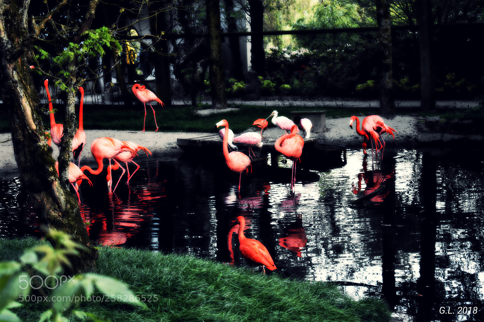 Nikon D3400 sample photo. Untitled photography
