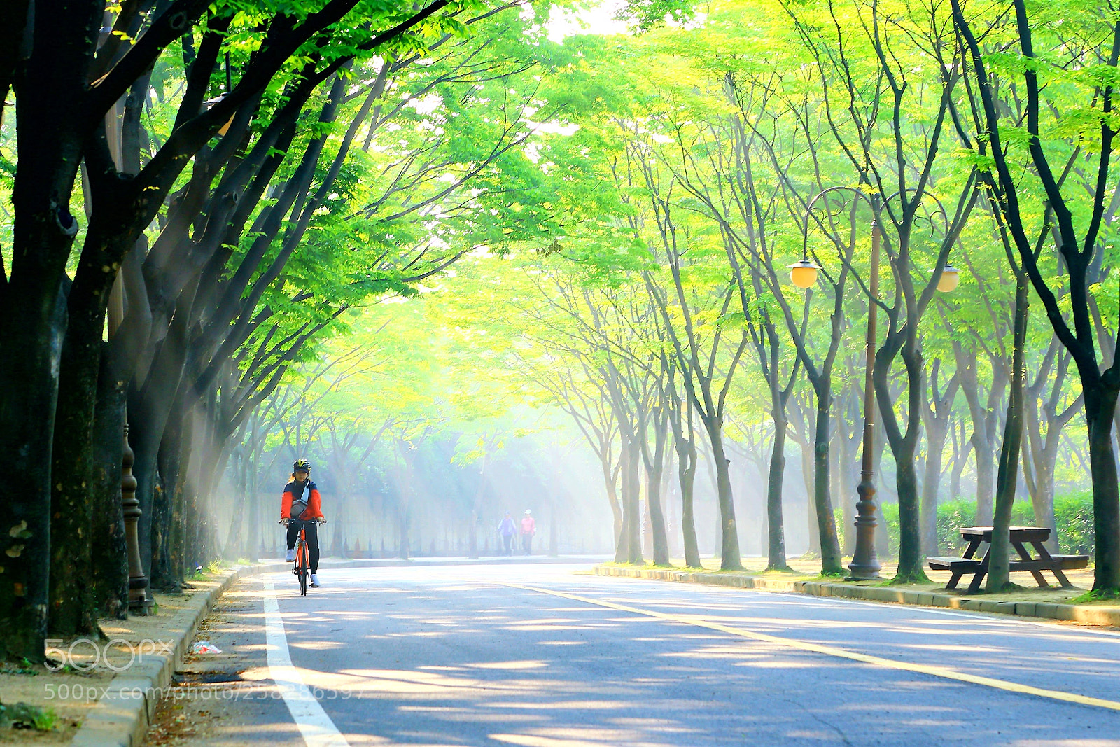 Canon EOS 6D sample photo. A shining road photography