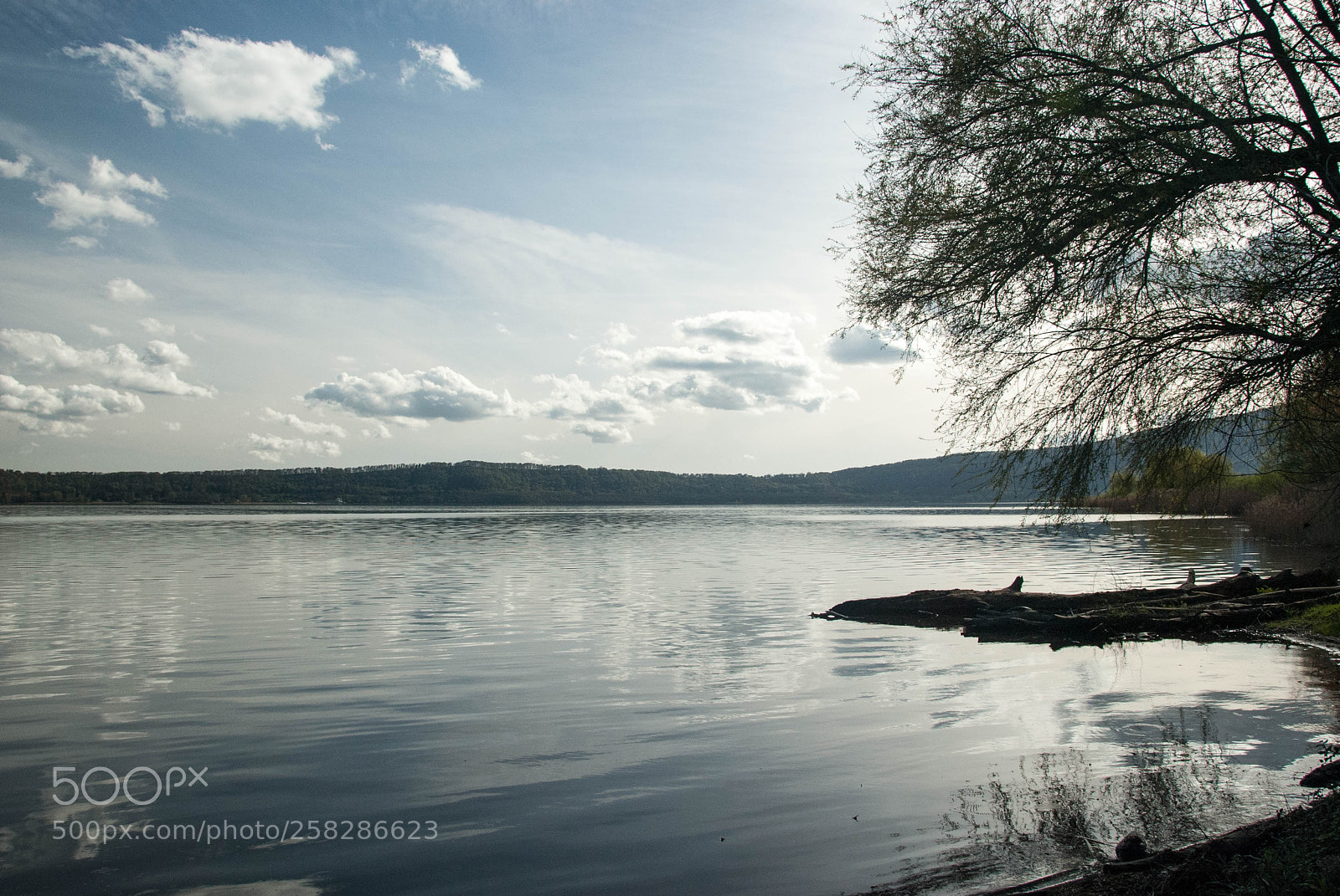 Nikon D60 sample photo. Lake vico photography