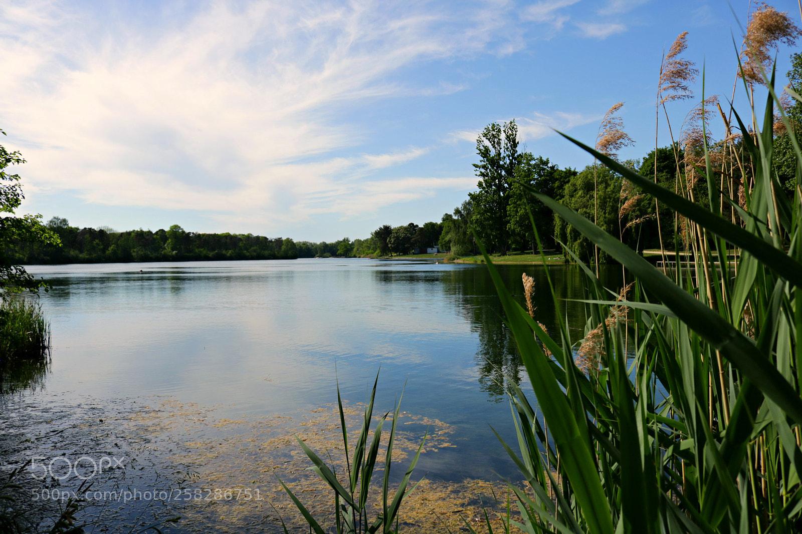 Canon EOS 750D (EOS Rebel T6i / EOS Kiss X8i) sample photo. Dojcsland photography