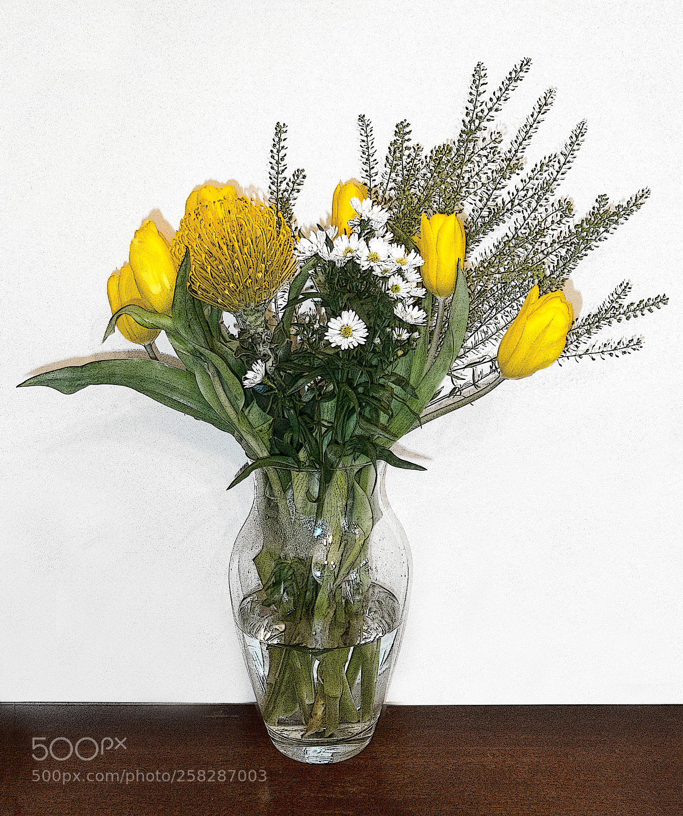 Olympus TG-5 sample photo. Mother's day photography