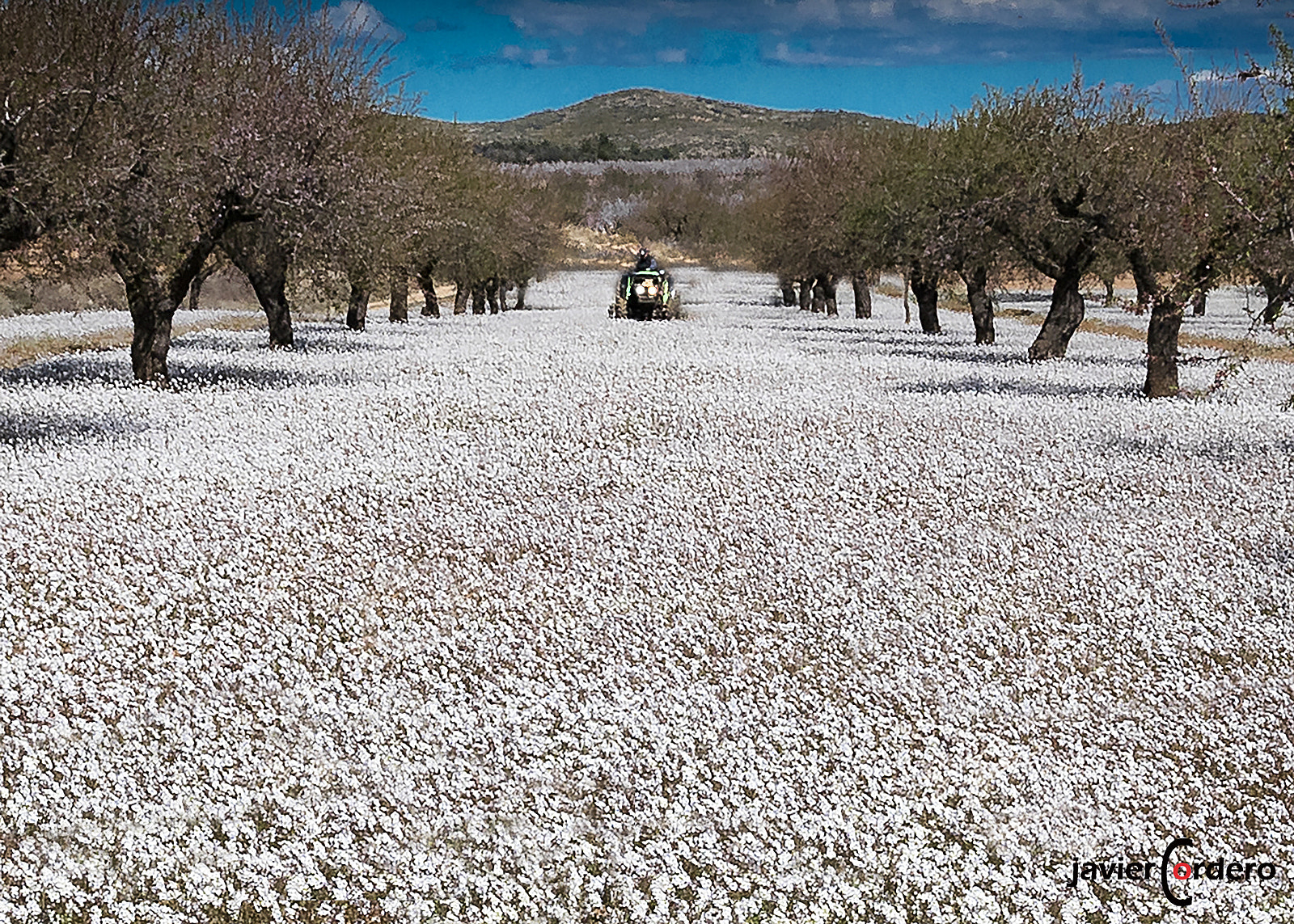 Panasonic Lumix DMC-GX85 (Lumix DMC-GX80 / Lumix DMC-GX7 Mark II) sample photo. 211 "snowmobile" alcublas(valencia)154 photography