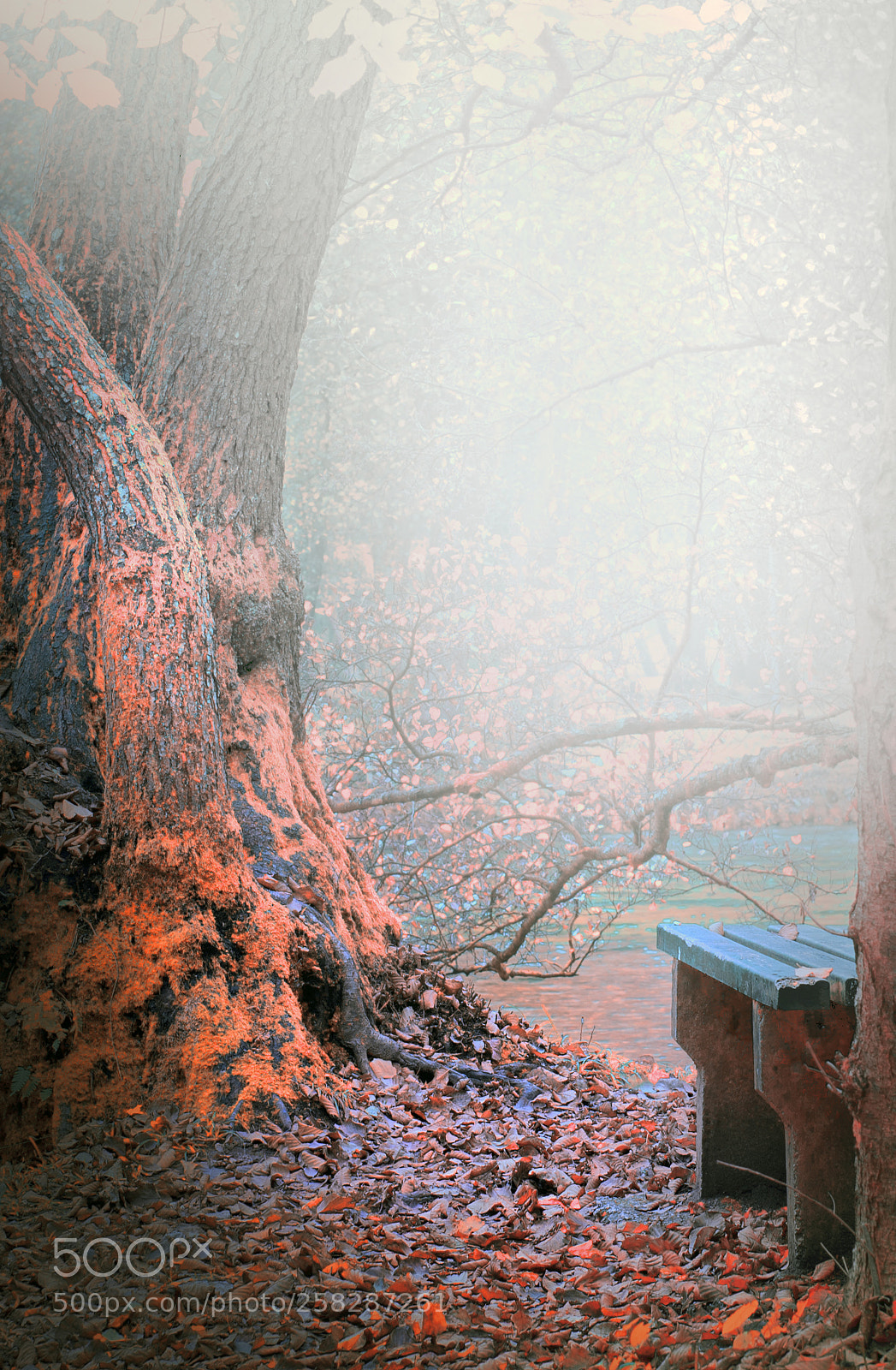 Nikon D610 sample photo. River bench photography