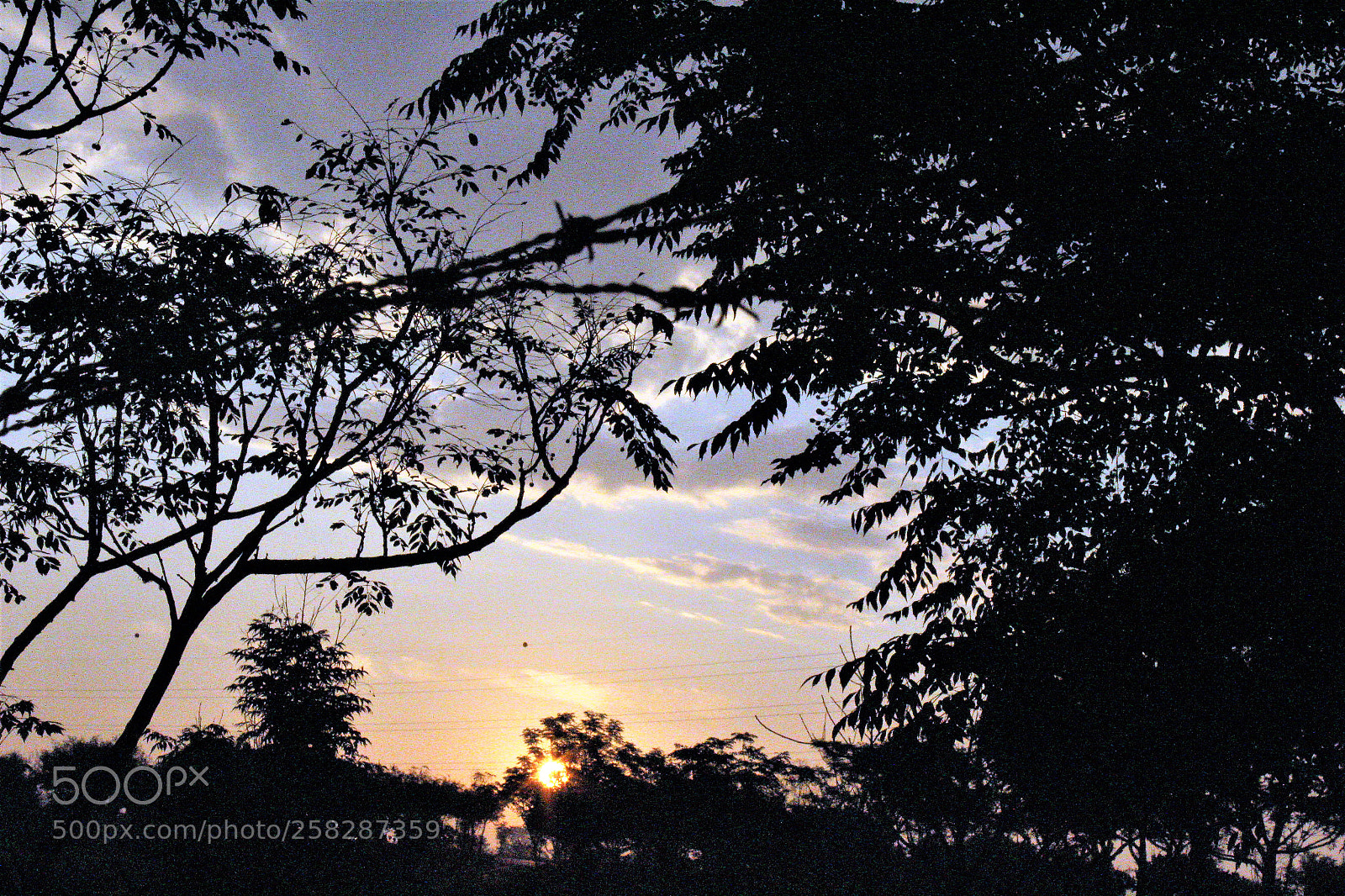 Canon EOS 1300D (EOS Rebel T6 / EOS Kiss X80) sample photo. Silhouettes and the sunrising photography