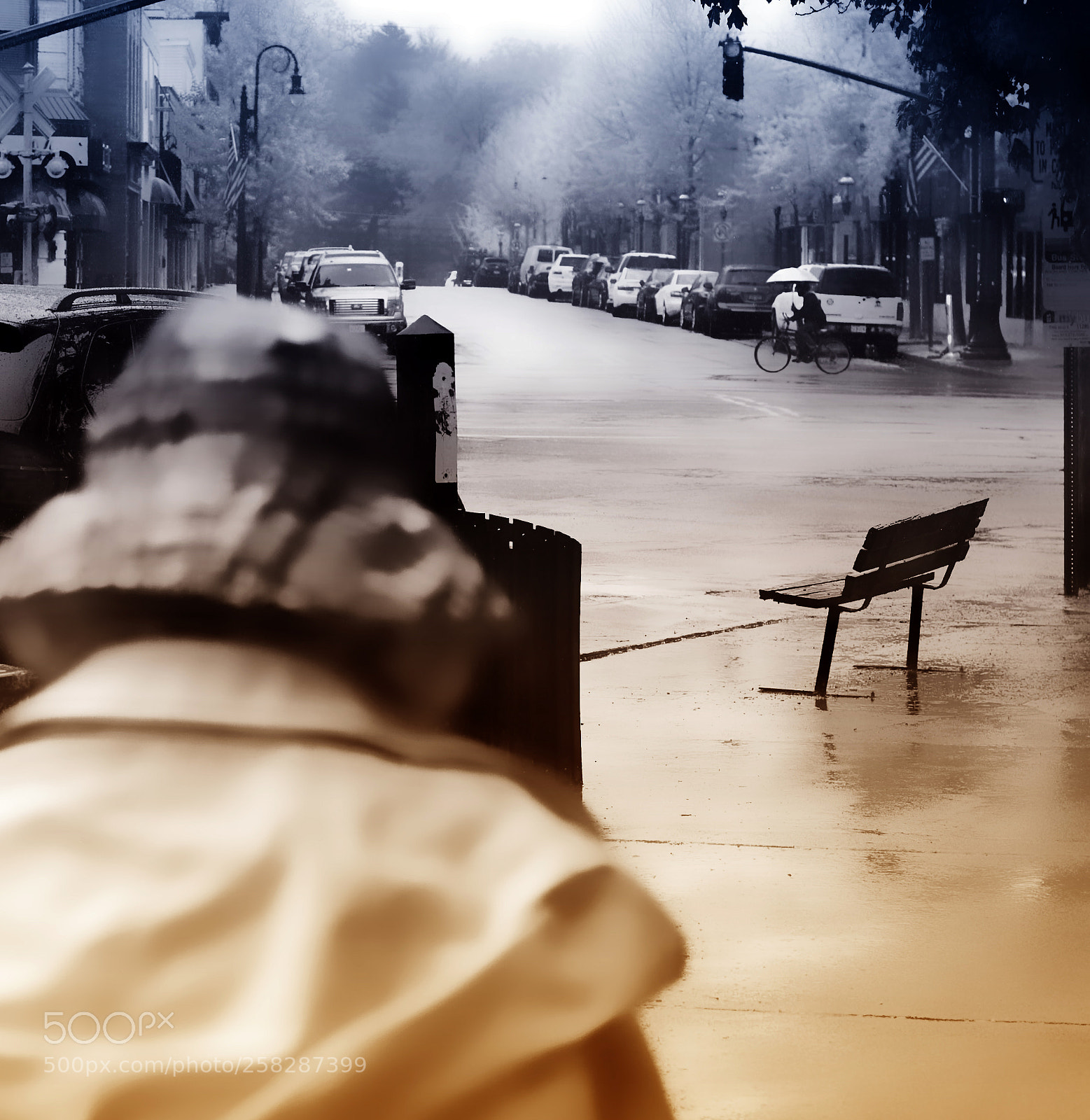 Canon EOS 1000D (EOS Digital Rebel XS / EOS Kiss F) sample photo. Woman in rain edited photography