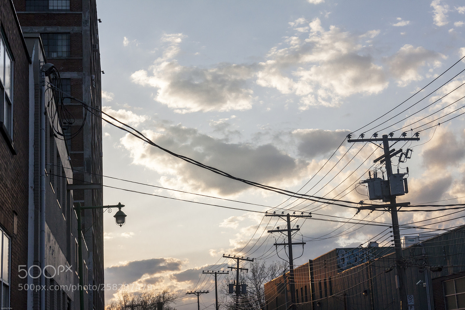 Canon EOS 50D sample photo. Orangeblues photography