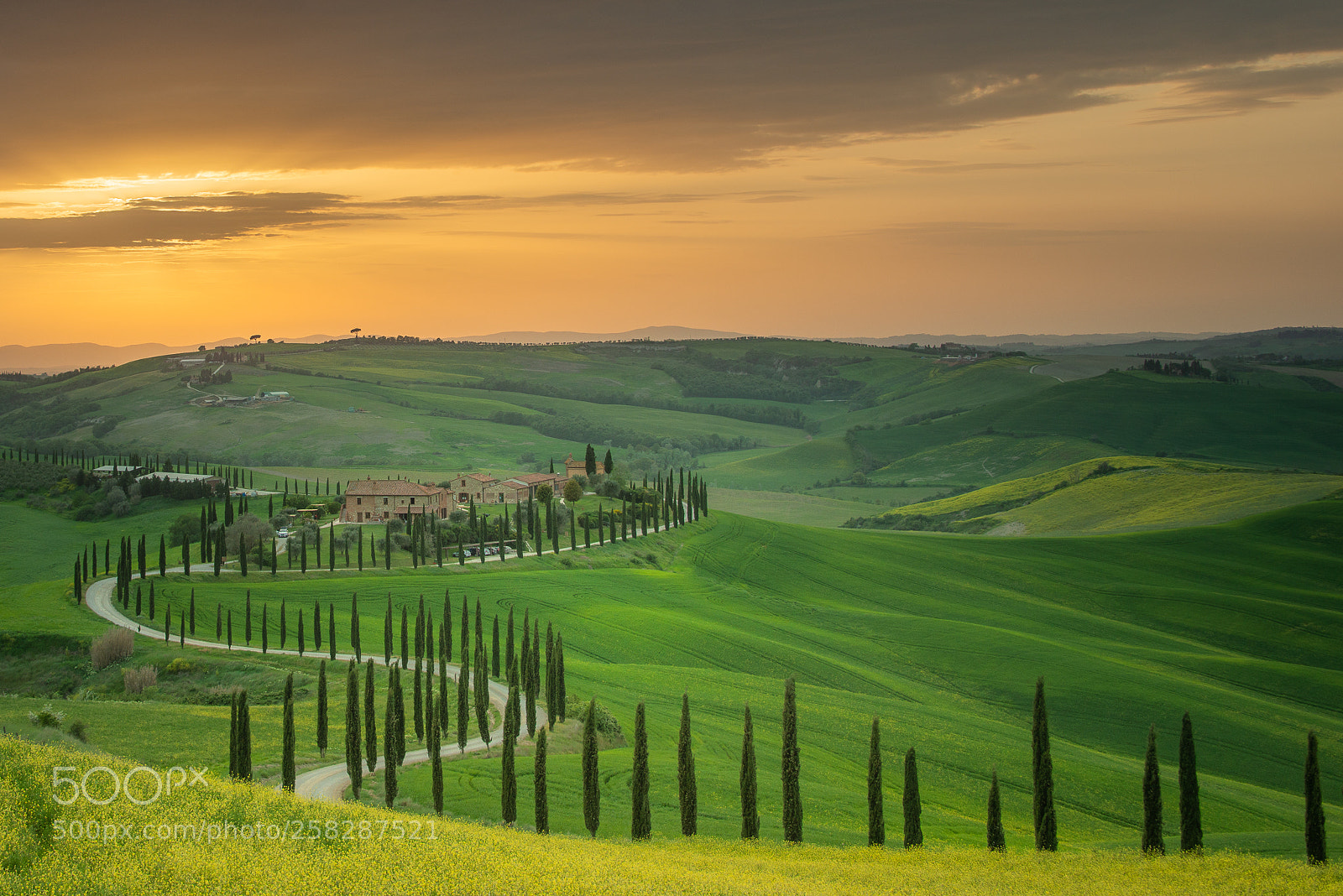 Nikon D800E sample photo. Tuscany road photography