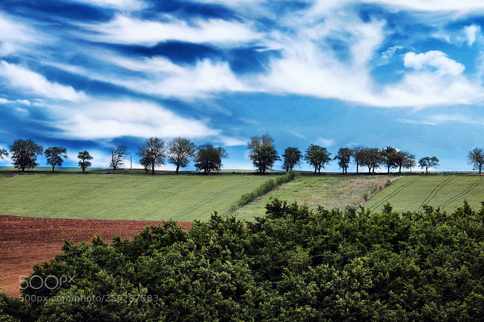 Canon EOS 5D Mark IV sample photo. Untitled photography