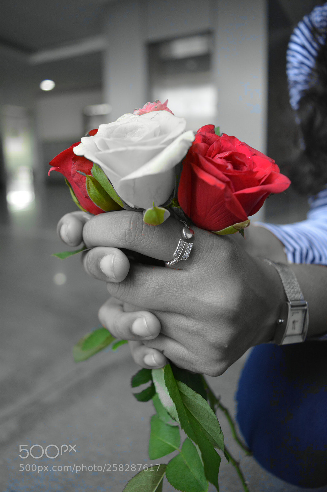 Nikon D5200 sample photo. Bunch flowers to special photography