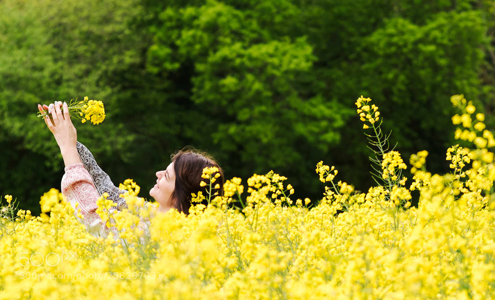 Nikon D5500 sample photo. Rape field photography