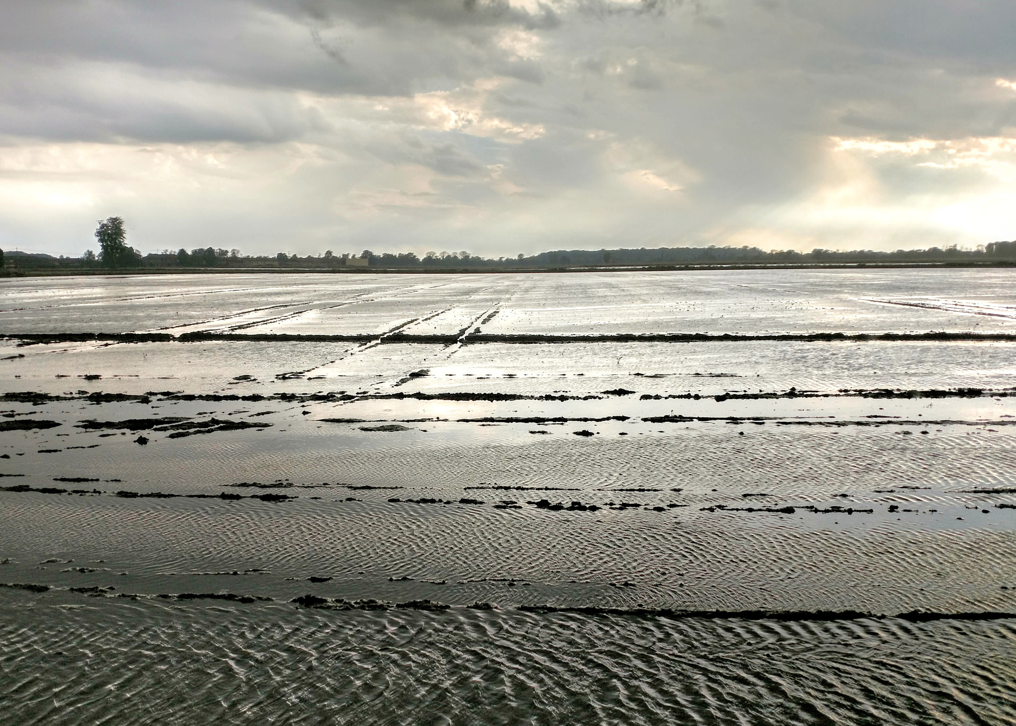 Motorola XT1650 sample photo. Paddies under thunderstorm photography