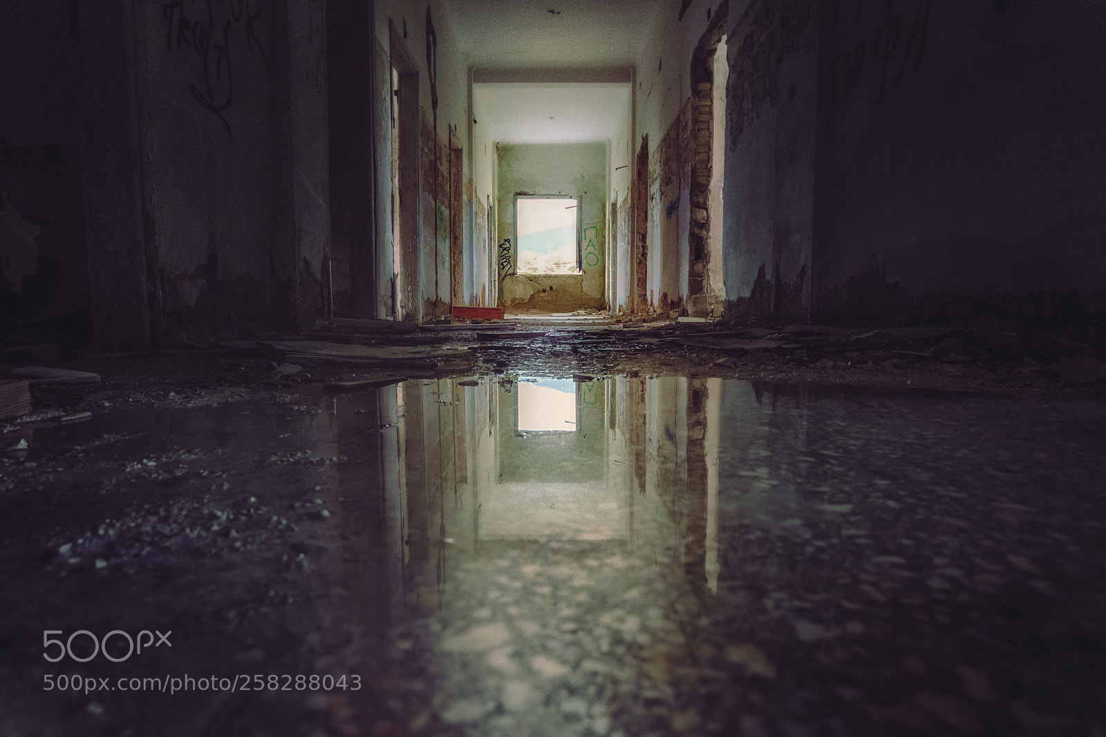 Sony a7R II sample photo. Asylum photography