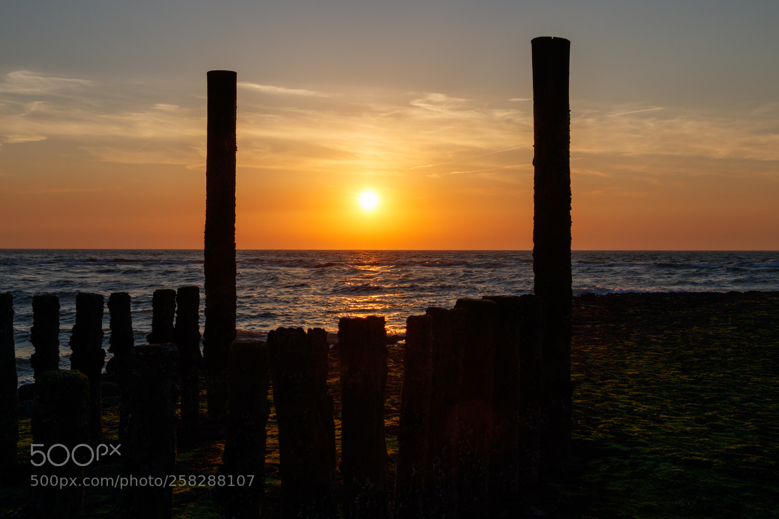 Canon EOS 80D sample photo. Sunset in oostkapelle photography