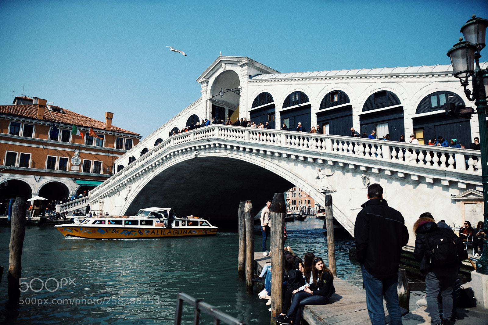 Nikon D850 sample photo. Venice photography
