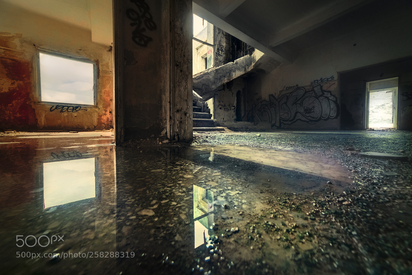 Sony a7R II sample photo. Asylum photography