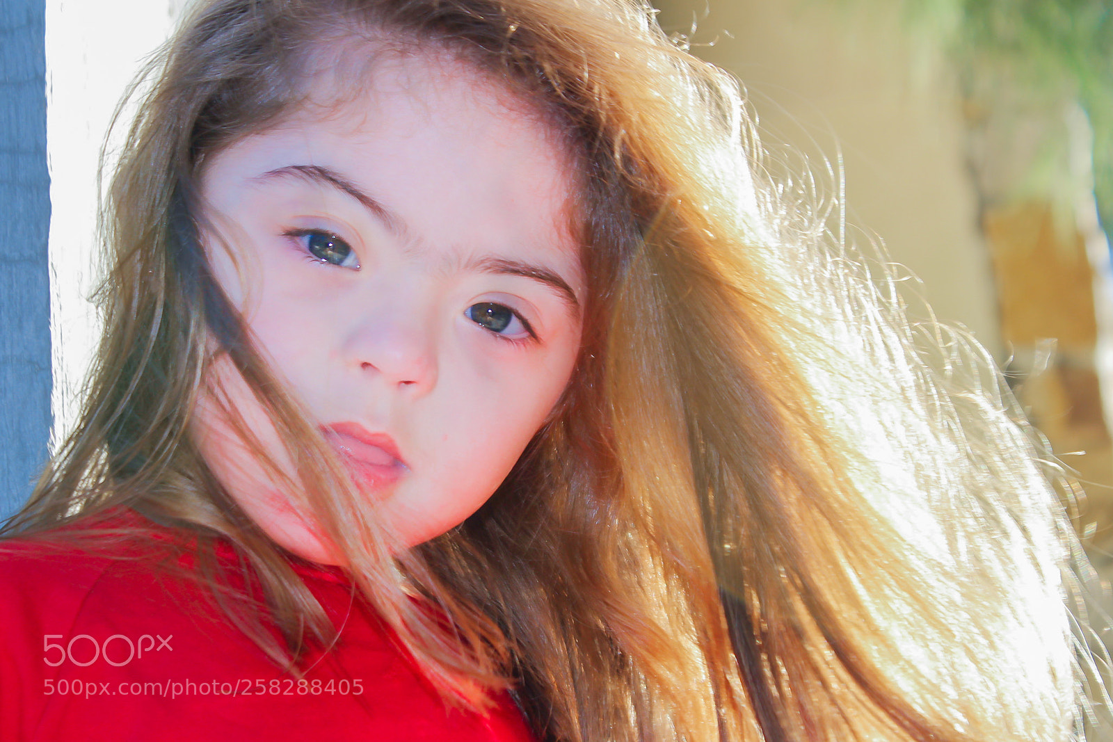 Canon EOS 600D (Rebel EOS T3i / EOS Kiss X5) sample photo. Cabellos photography