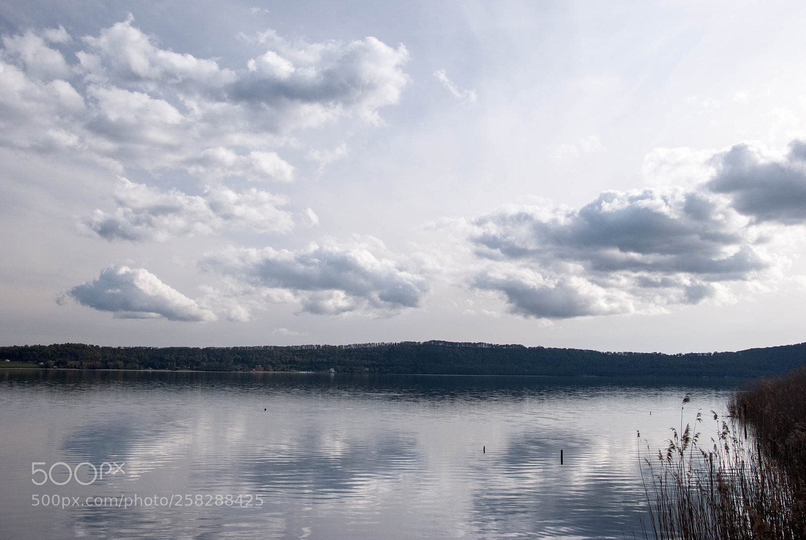 Nikon D60 sample photo. Lago di vico photography