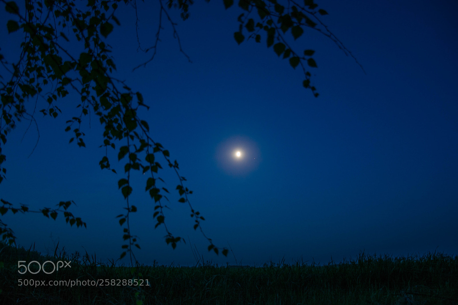 Nikon D5200 sample photo. Раннее утро photography
