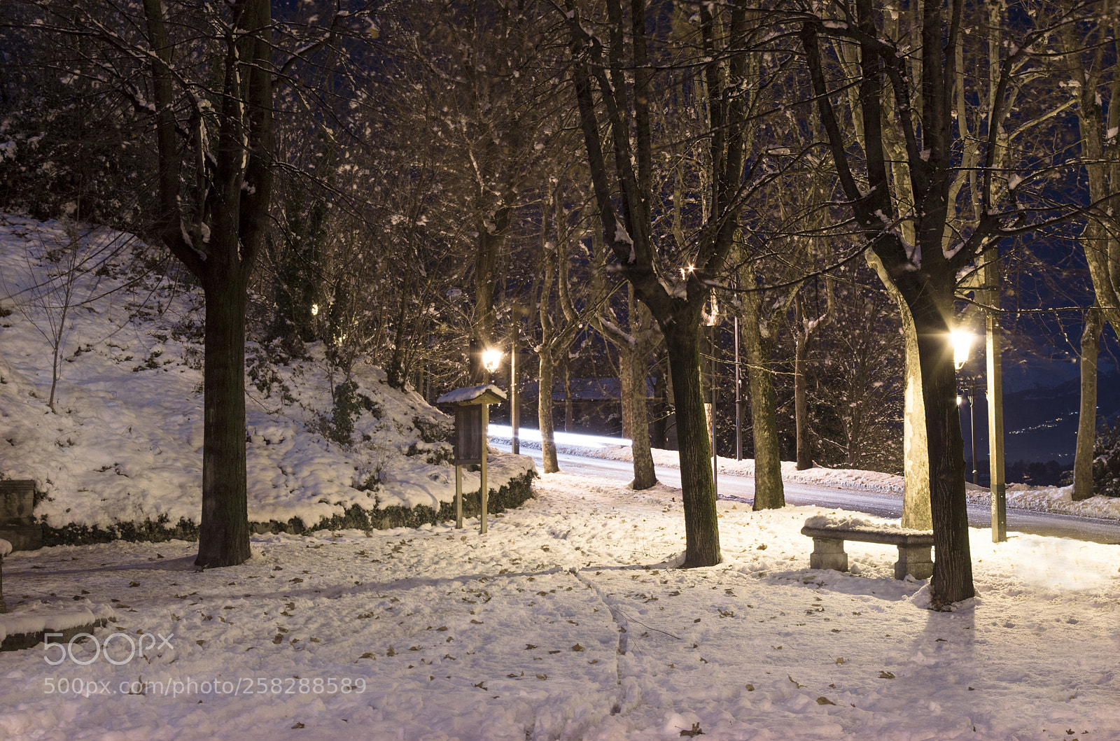 Pentax K-50 sample photo. Snow photography