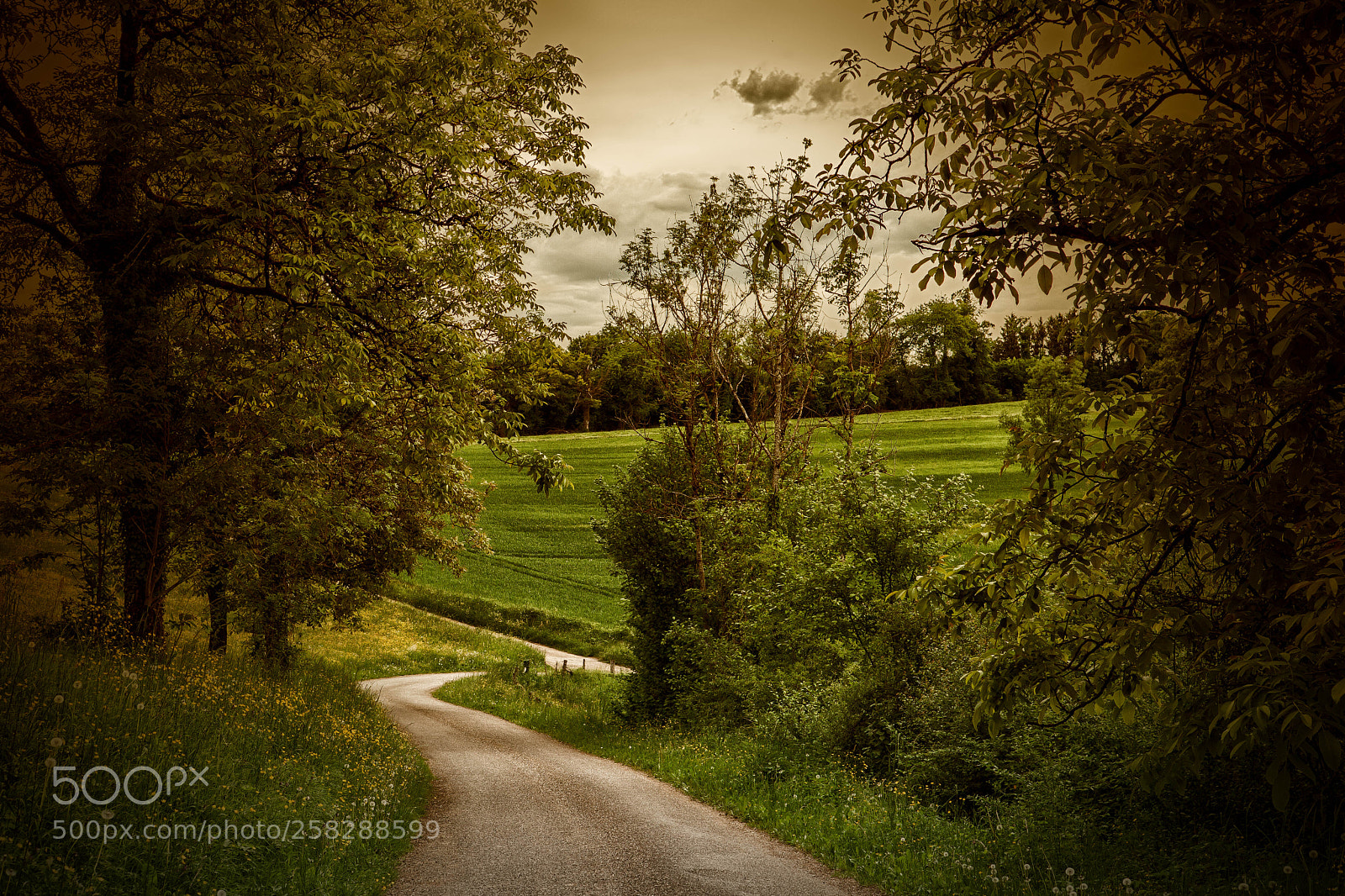 Canon EOS 5D Mark II sample photo. Le chemin photography