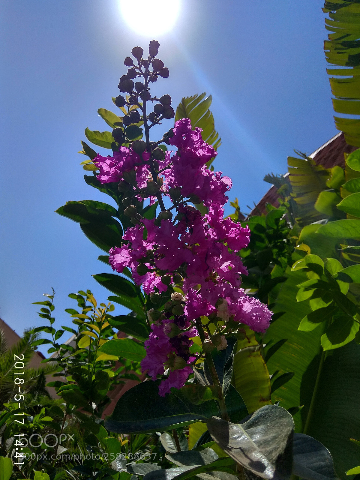 Xiaomi Redmi Note 4 sample photo. Untitled photography