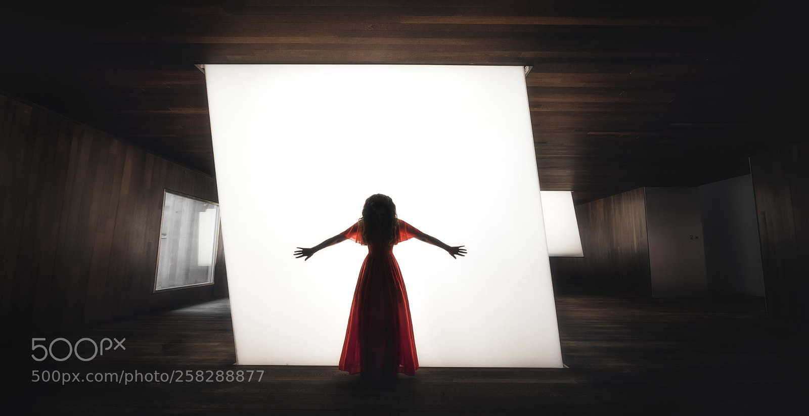 Canon EOS 7D Mark II sample photo. Light photography