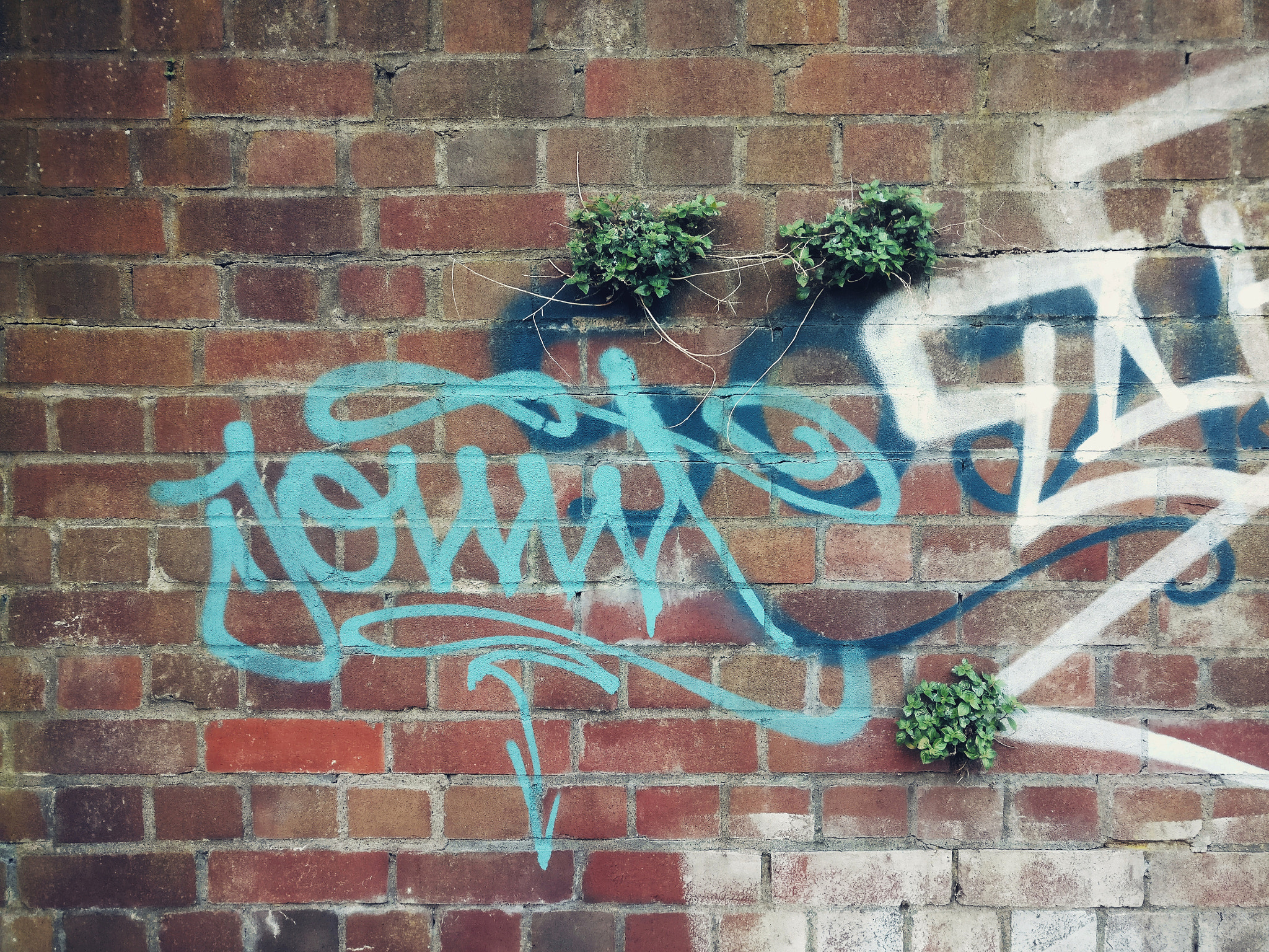 OnePlus A3000 sample photo. Wall photography