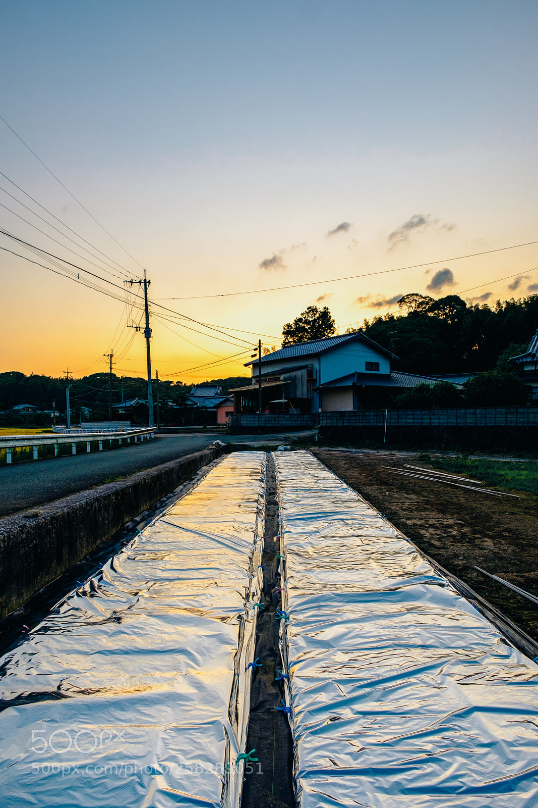 Fujifilm X-H1 sample photo. Scarf photography