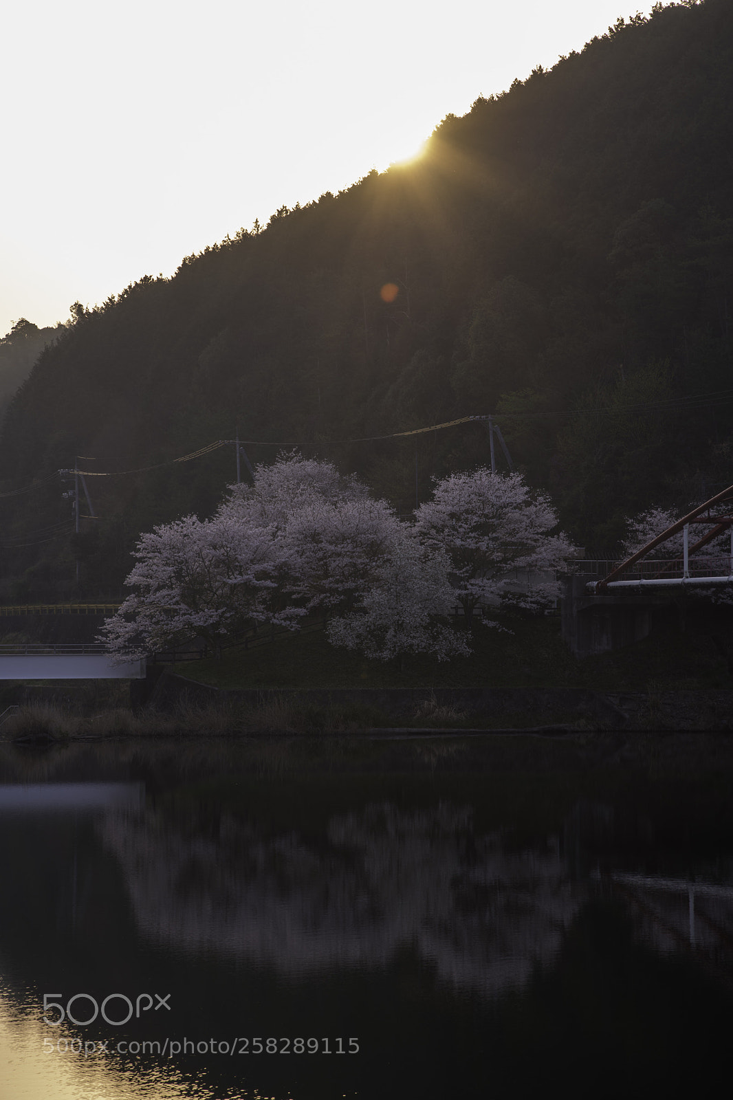 Nikon D850 sample photo. Morning of the lake photography