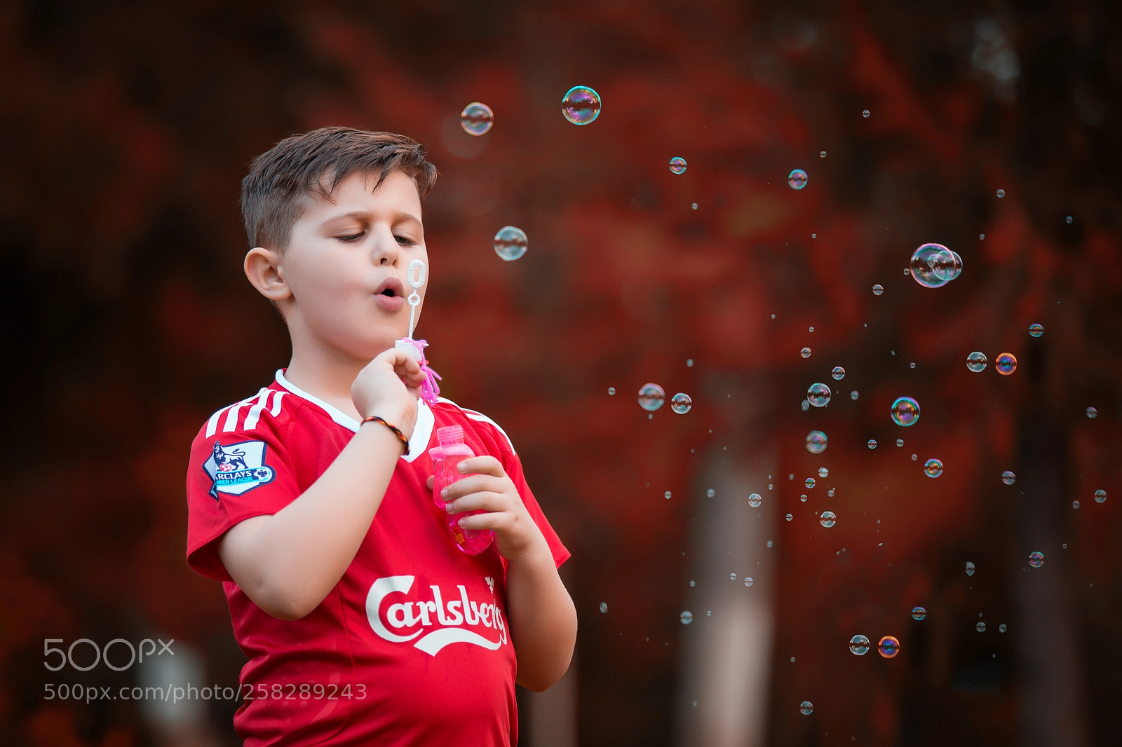 Canon EOS 6D sample photo. All about red photography