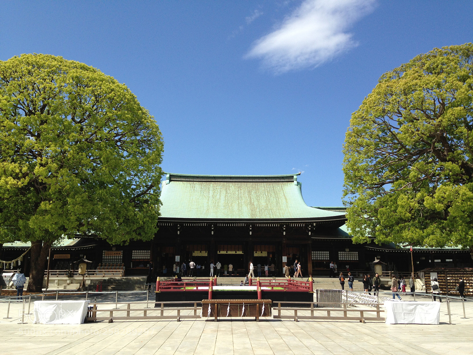 Apple iPhone 5 sample photo. Meiji jingu...❗️ photography