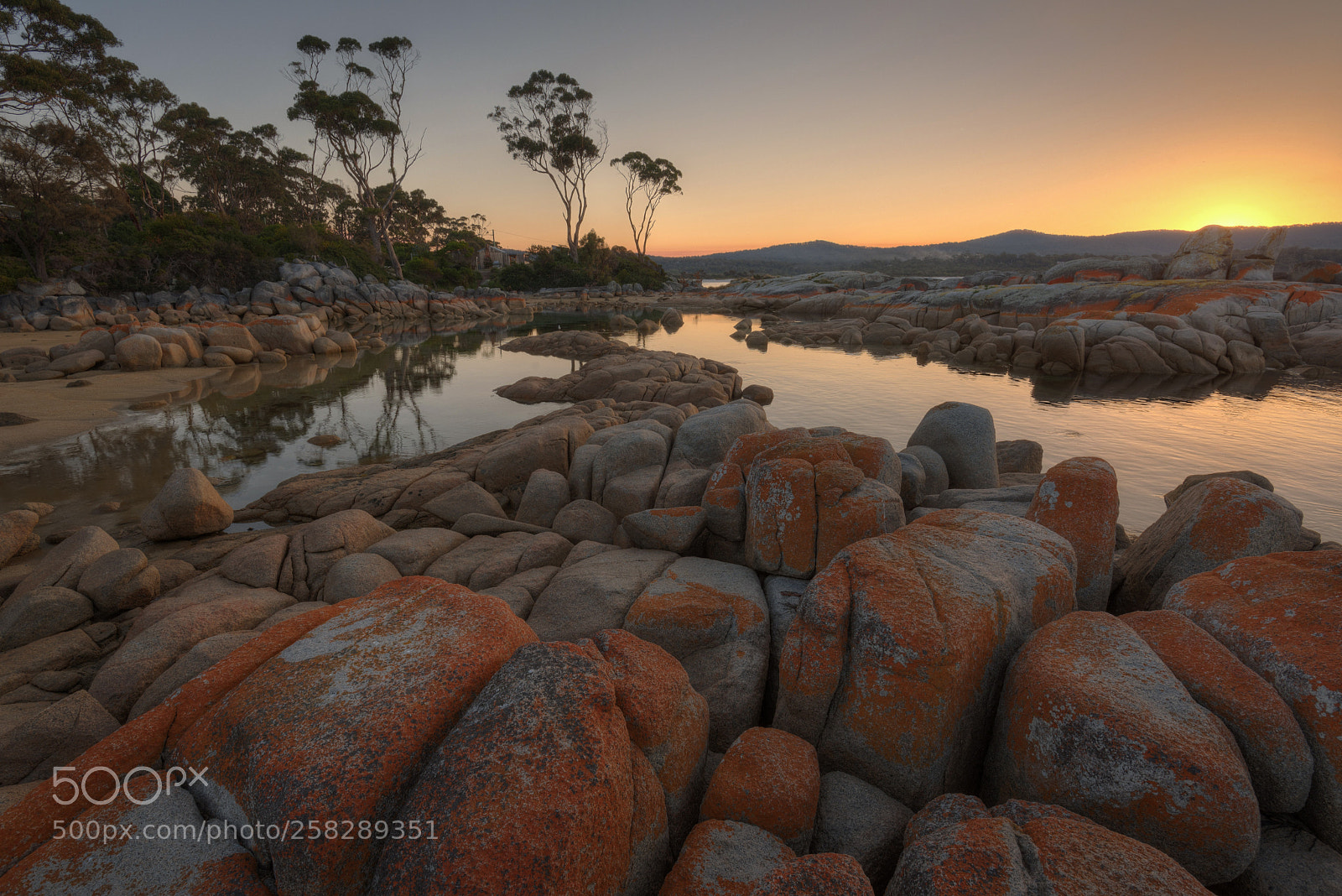 Nikon D750 sample photo. Bay of fires sunset photography
