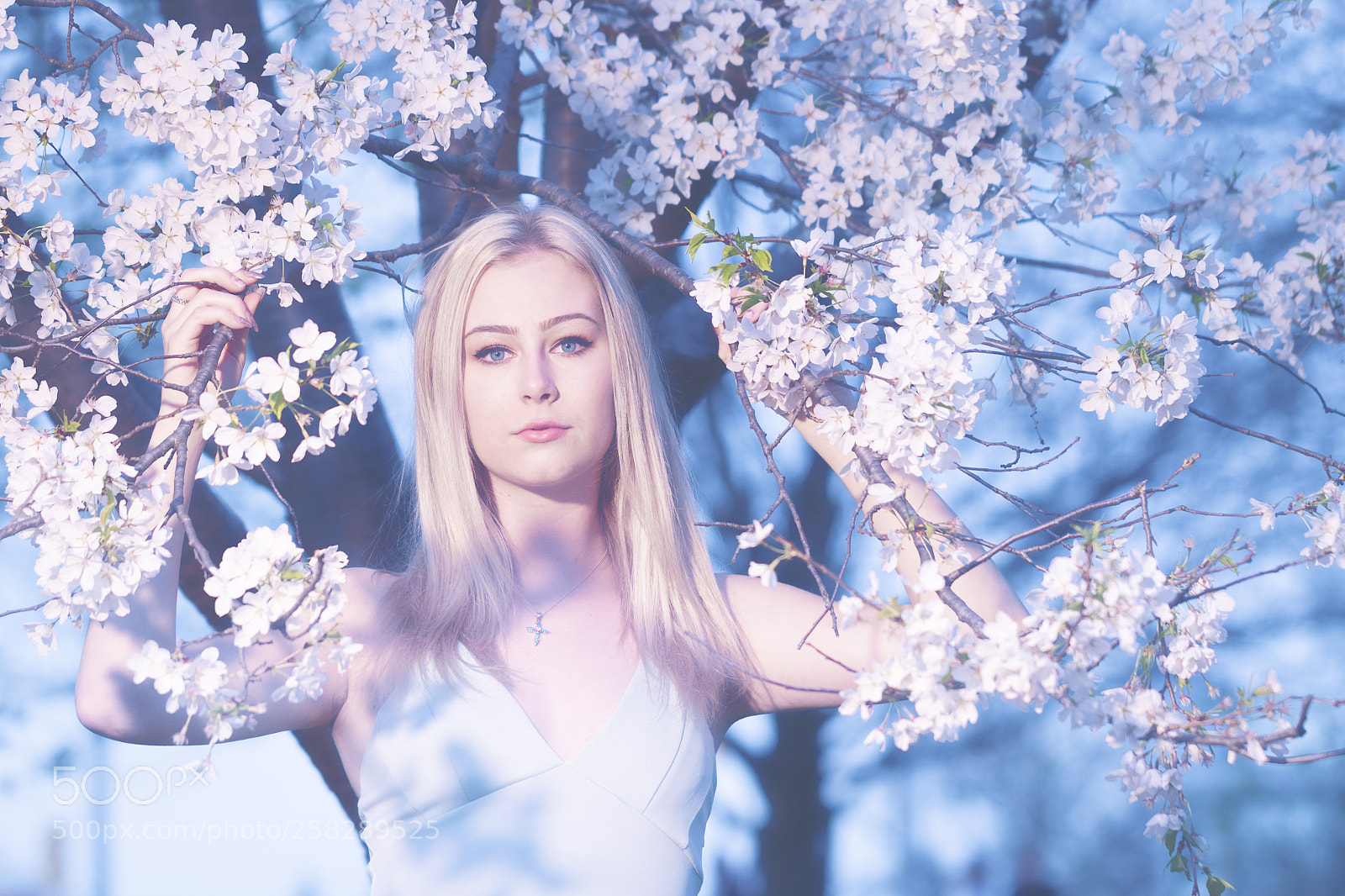 Canon EOS 7D Mark II sample photo. Flower girl photography