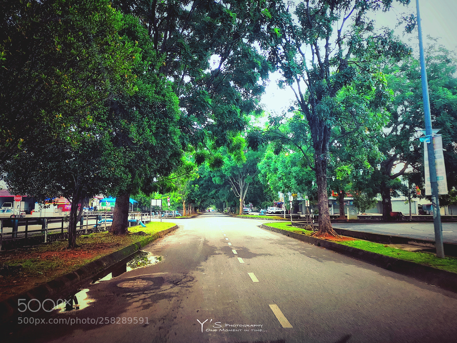HUAWEI CLT-L29 sample photo. A quiet morning. 宁静的清晨。 photography