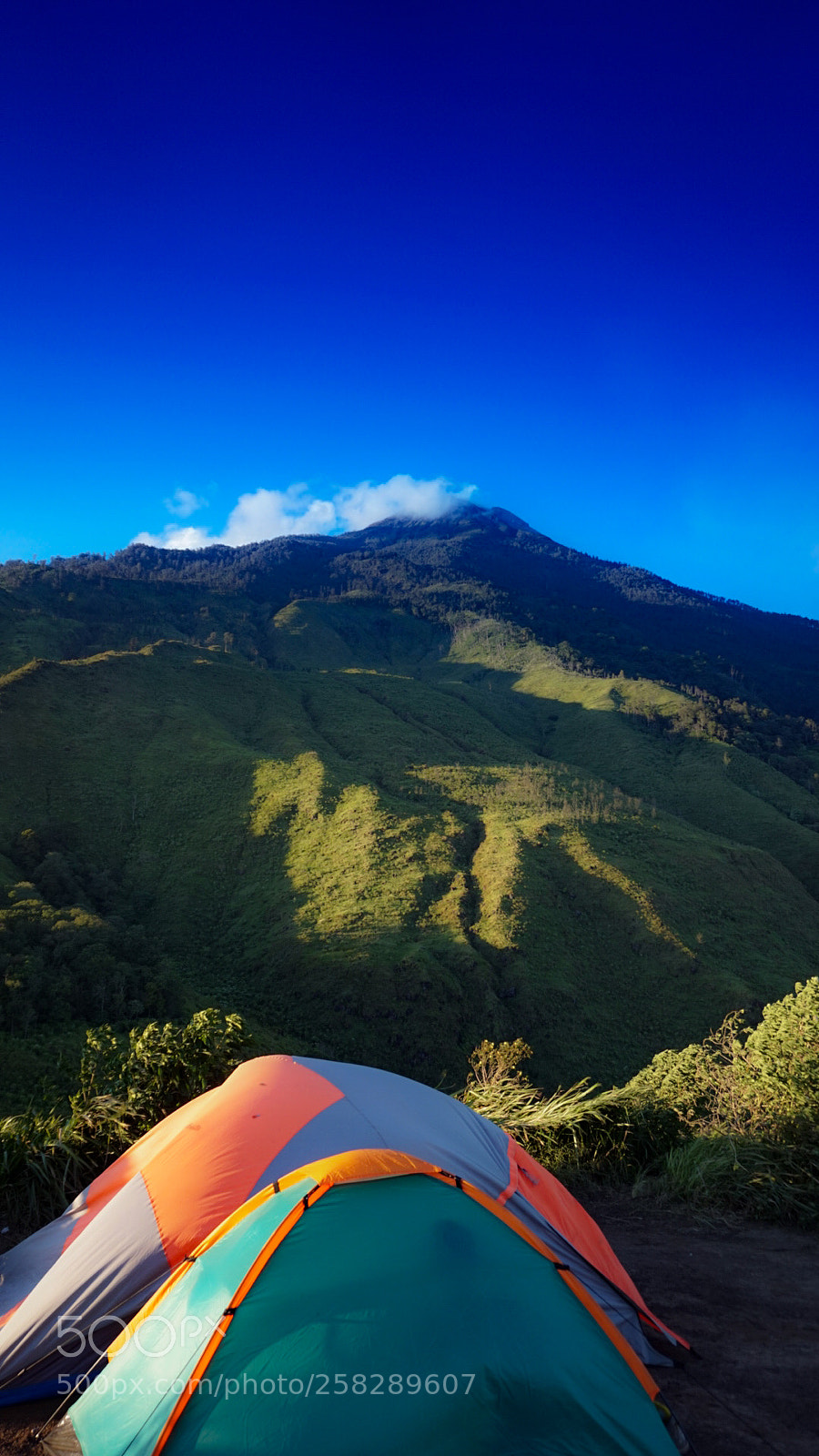 Sony Alpha a5000 (ILCE 5000) sample photo. Mount welirang photography