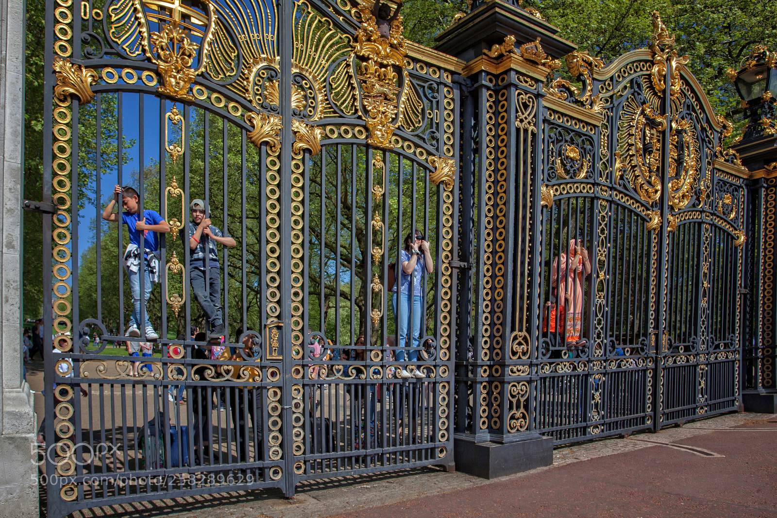 Canon EOS 5D Mark II sample photo. Buckingham palace - changing photography