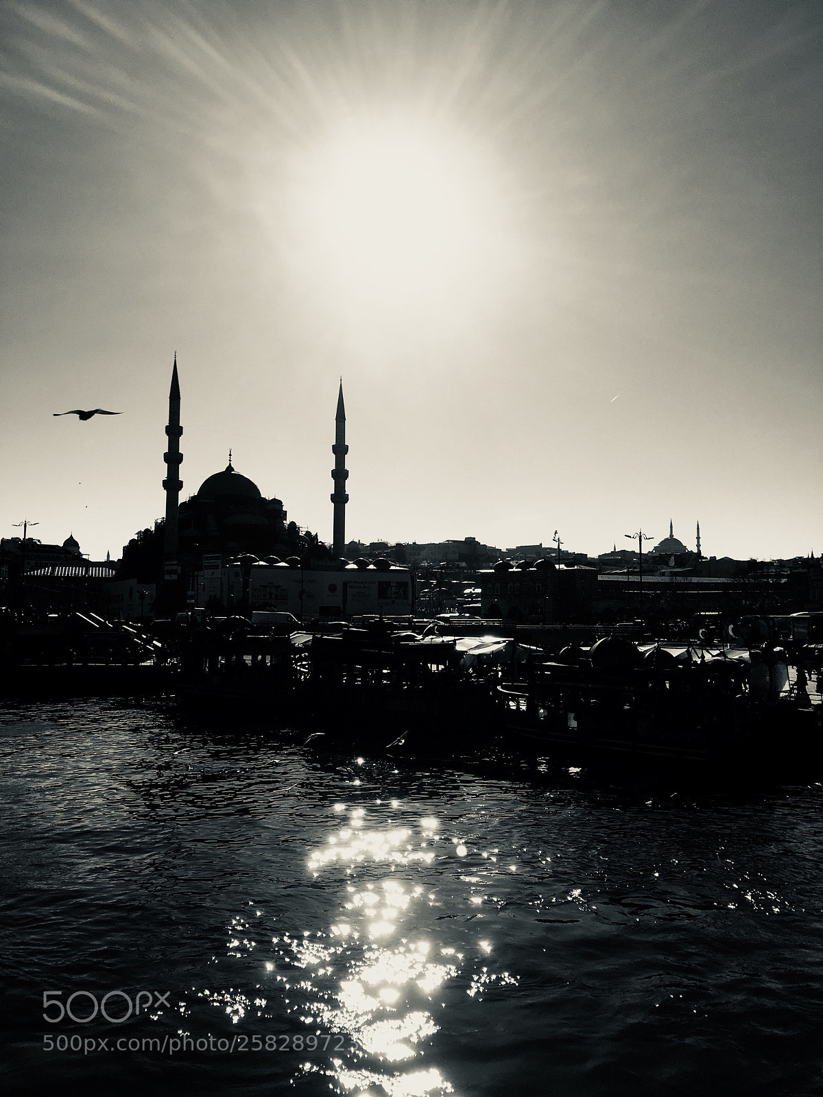 Apple iPhone 6s Plus sample photo. Untitled photography