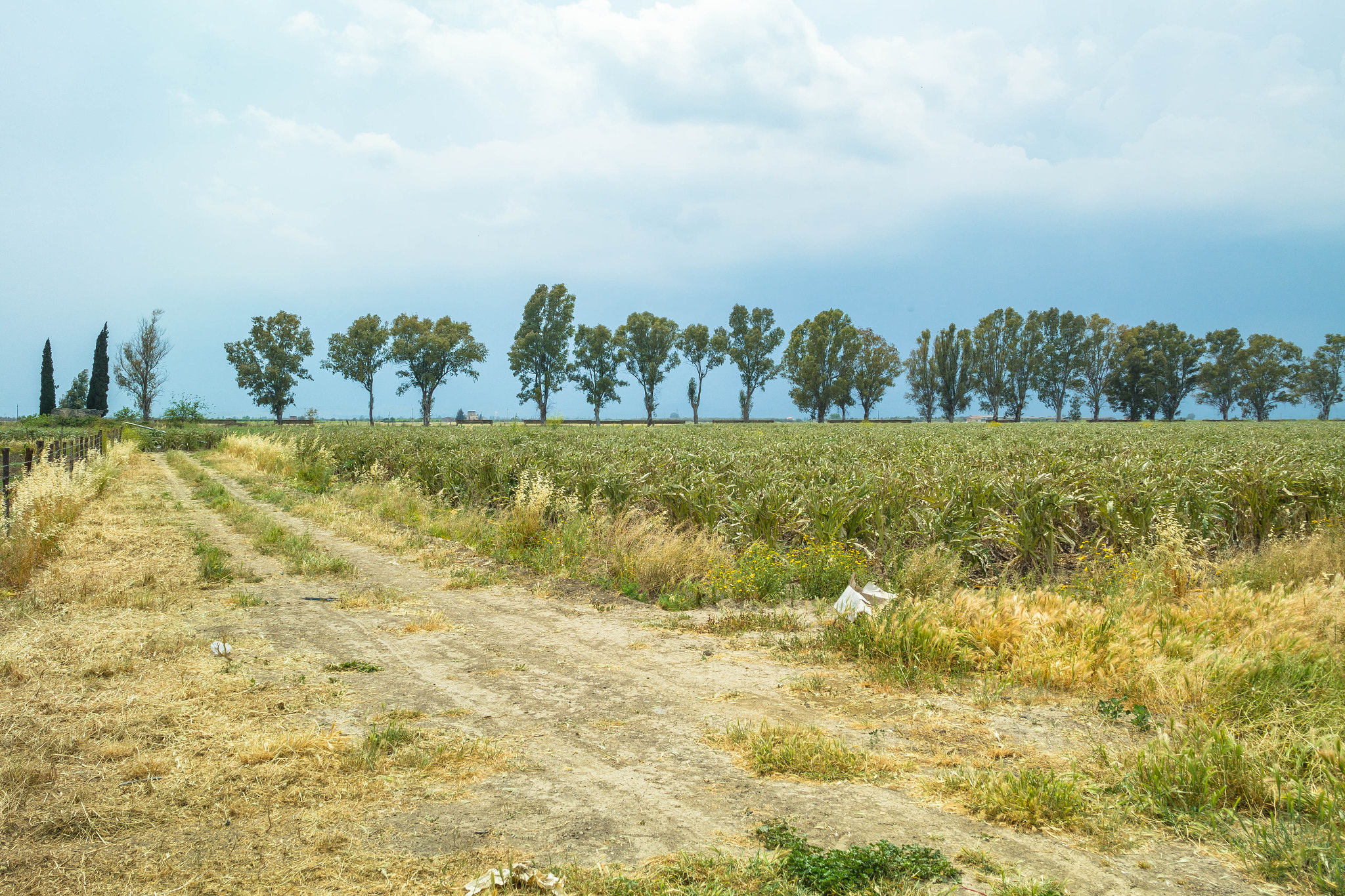 Samsung NX2000 sample photo. Countryside photography