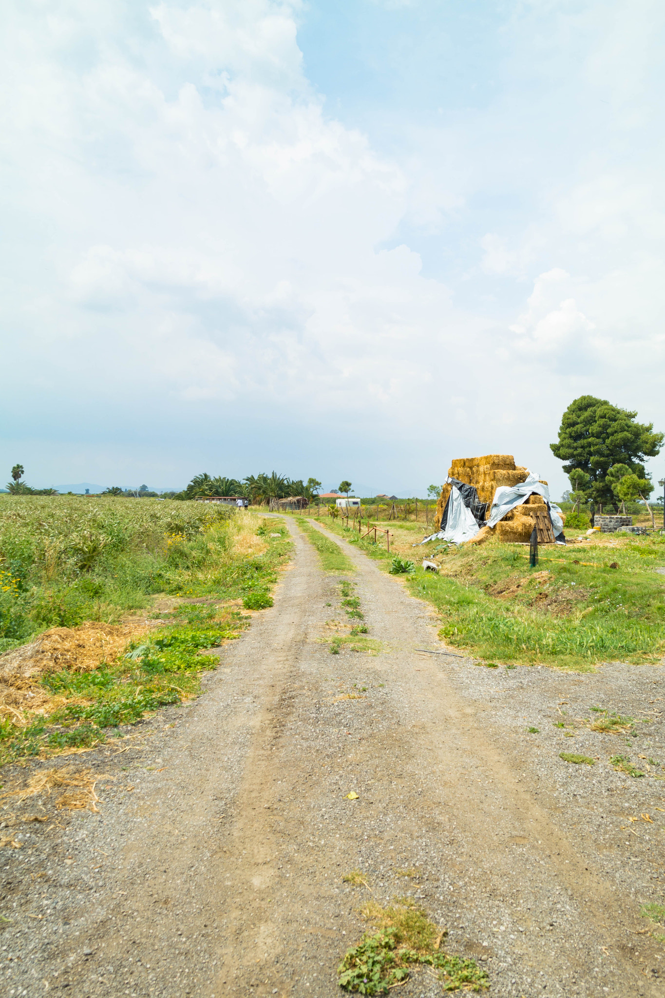 Samsung NX2000 sample photo. Farm photography