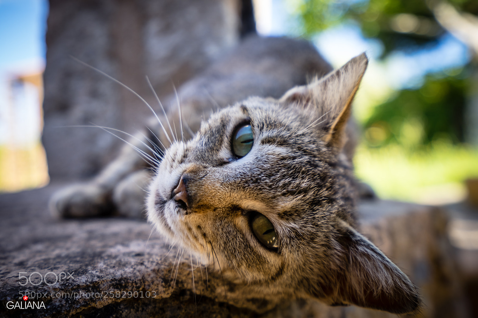 Sony a7 sample photo. Sa moixa de son photography