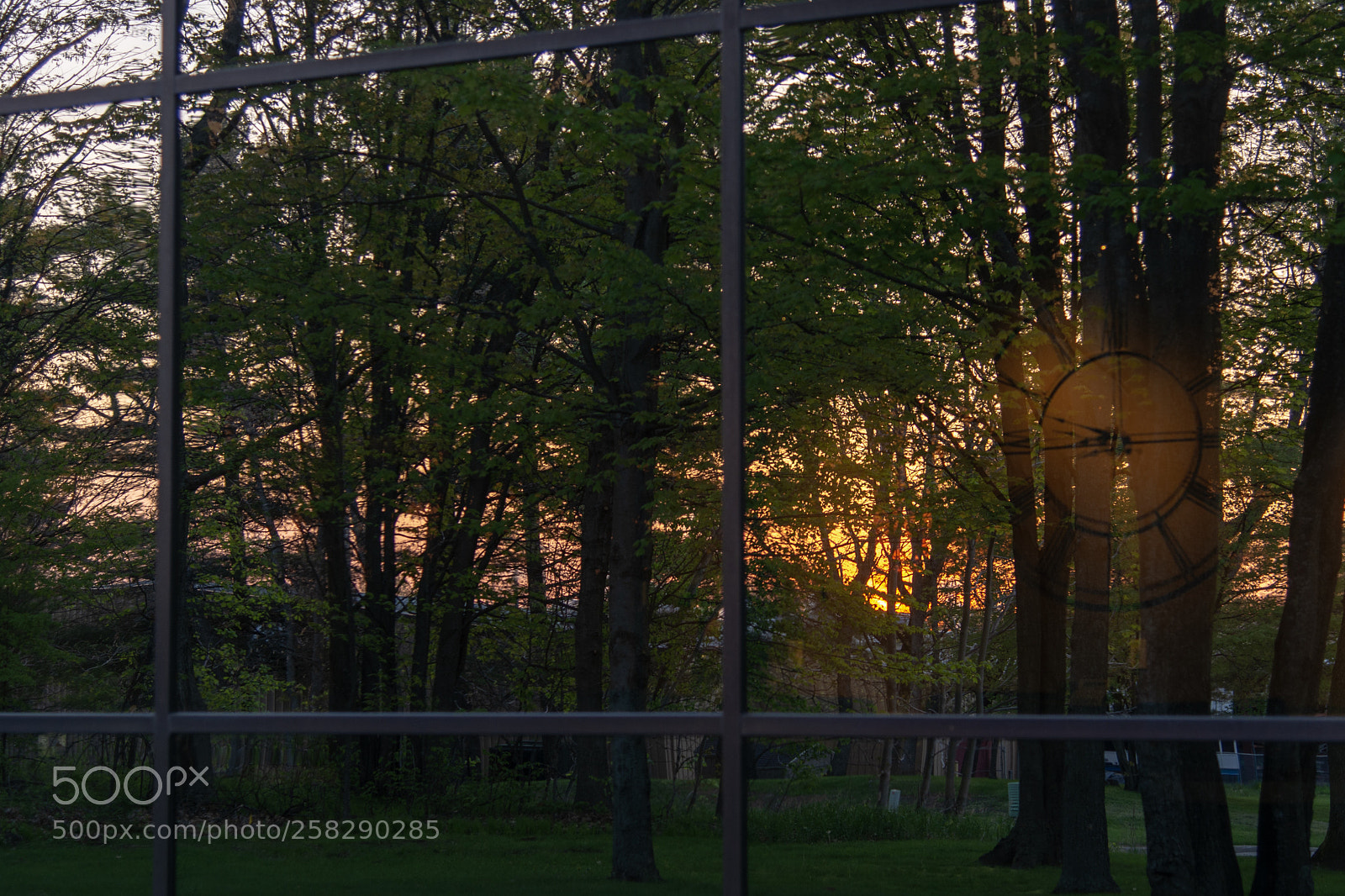 Nikon D5200 sample photo. Time of the day photography