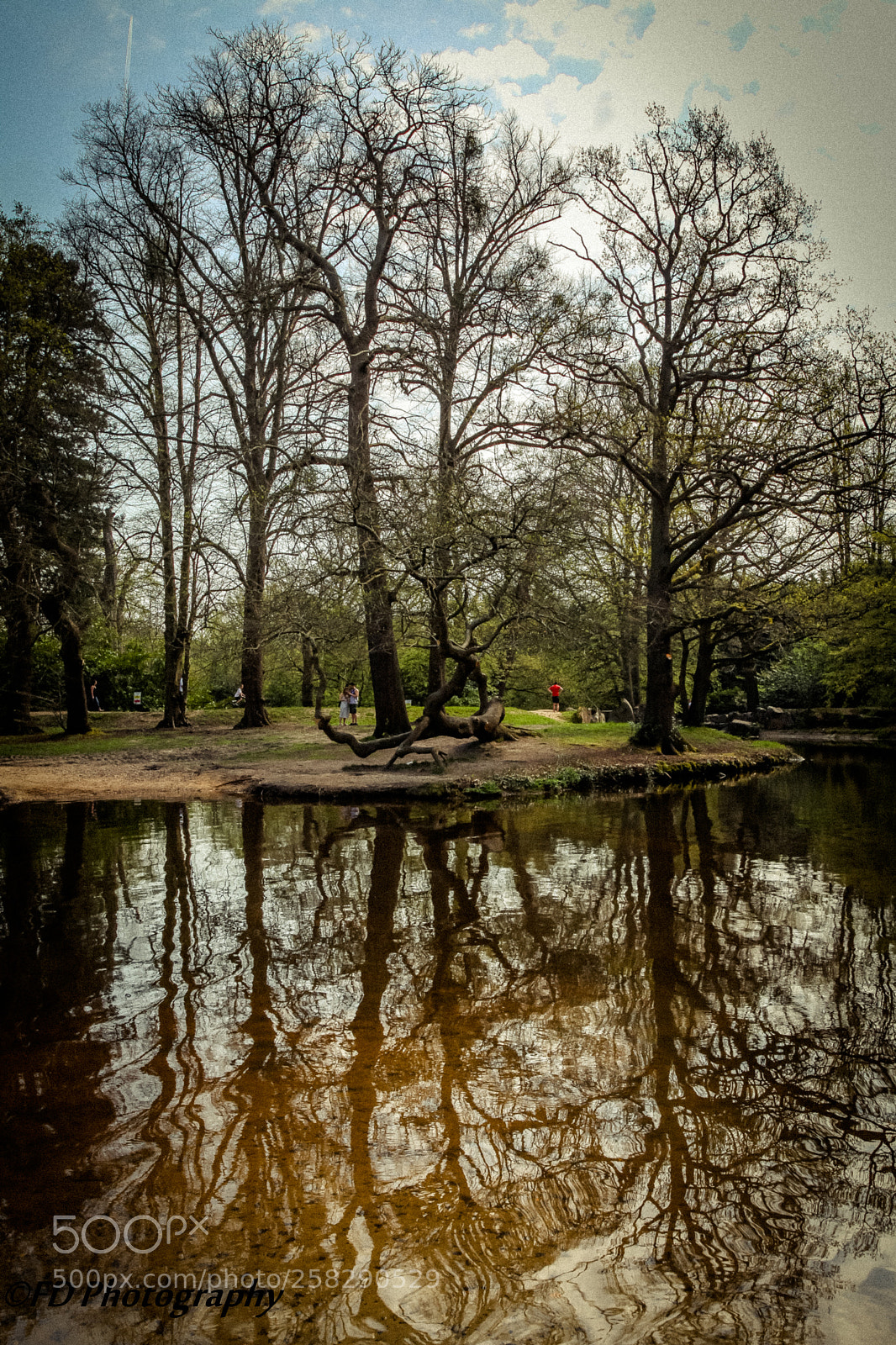 Canon EOS 5D Mark II sample photo. Reflection in water photography