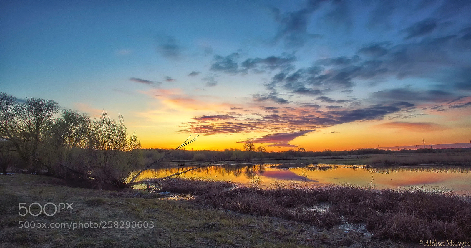 Canon EOS 6D sample photo. Spring dawn photography